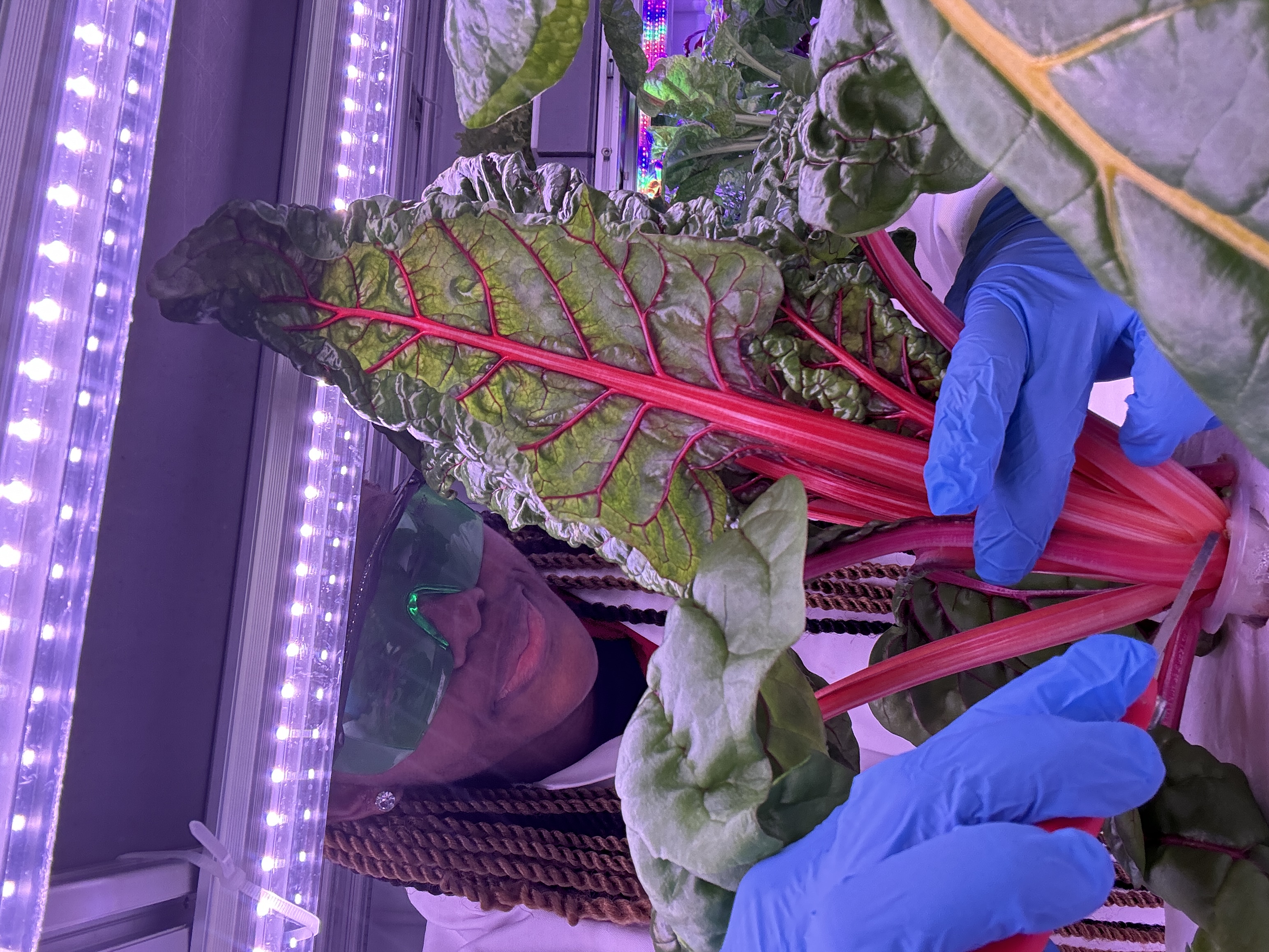 Digital Twin of a Greenhouse